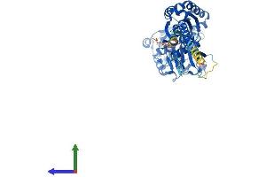 AlphaFold protein structure predicition of Human Recombinant ENTPD3 Protein, UniprotID O75355