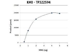 Activity Assay (AcA) image for Kynurenine 3-Monooxygenase (Kynurenine 3-Hydroxylase) (KMO) protein (Myc-DYKDDDDK Tag) (ABIN2724434)