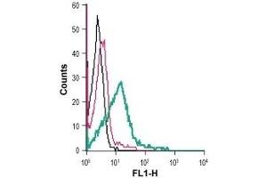 Flow Cytometry (FACS) image for anti-Solute Carrier Family 6 (Neurotransmitter Transporter, Dopamine), Member 3 (SLC6A3) (AA 191-205), (Extracellular) antibody (FITC) (ABIN7043741)