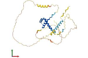 Protein Structure (PS) image for NK2 Homeobox 5 (NKX2-5) (AA 1-324) protein (His tag) (ABIN7549886)