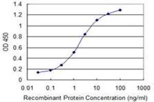 Detection limit for recombinant GST tagged WDR79 is 0. (WRAP53 抗体  (AA 62-160))