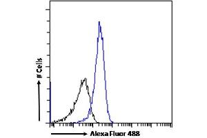 (ABIN190769) Flow cytometric analysis of paraformaldehyde fixed HepG2 cells (blue line), permeabilized with 0. (DPP4 抗体  (Internal Region))