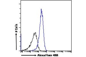 (ABIN190769) Flow cytometric analysis of paraformaldehyde fixed HepG2 cells (blue line), permeabilized with 0.