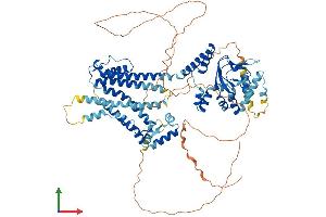 AlphaFold protein structure predicition of Mouse Recombinant Hcn3 Protein, UniprotID O88705