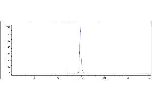 anti-Butyrophilin, Subfamily 3, Member A1 (BTN3A1) antibody