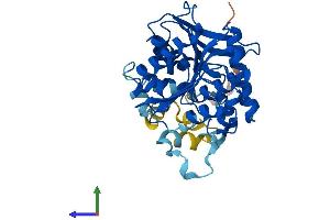 AlphaFold protein structure predicition of Human Recombinant ABHD4 Protein, UniprotID Q8TB40