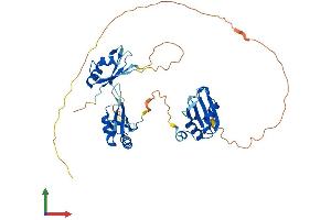 AlphaFold protein structure predicition of Mouse Recombinant Tial1 Protein, UniprotID P70318