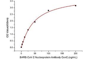 Immobilized Recombinant SARS-COV-2 Nucleocapsid (RP01264) at 1 μg/mL (100μL/well) can bind SARS-CoV-2 Nucleoprotein Antibody (ABIN7269053) with a linear range of 3. (Nucleoprotein 抗体)