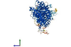 AlphaFold protein structure predicition of Human Recombinant PLD2 Protein, UniprotID O14939
