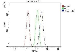 Flow Cytometry analysis of A549 cells using anti-TSC2 antibody (ABIN7600203). (Tuberin 抗体  (AA 1611-1807))