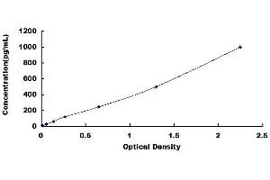 Typical standard curve (IL-1 beta ELISA 试剂盒)