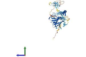 Protein Structure (PS) image for Tripartite Motif Containing 16 (TRIM16) (AA 1-564) protein (His tag) (ABIN7544678)