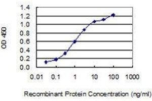 Detection limit for recombinant GST tagged KIF5B is 0. (KIF5B 抗体  (AA 864-962))