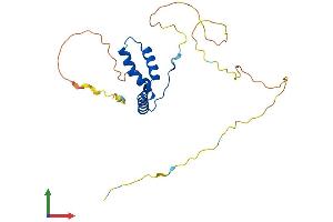 Protein Structure (PS) image for SRY (Sex Determining Region Y)-Box 15 (SOX15) (AA 1-233) protein (His tag) (ABIN7546196)