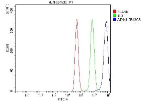 Flow Cytometry analysis of NRK cells using anti-Ataxin 1 antibody (ABIN7602773).