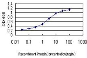 Detection limit for recombinant GST tagged NEK10 is approximately 0. (NEK10 抗体  (AA 211-300))
