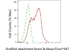 Flow cytometric analysis of Scaffold attachment factor B expression in HeLa cells using Scaffold attachment factor B antibody (ABIN7800275), 1:2,000). (Recombinant SAFB 抗体)