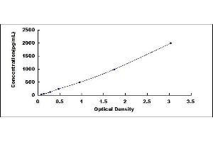 Typical standard curve (HMOX1 ELISA 试剂盒)