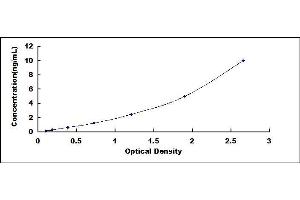 Typical standard curve (Nephronectin ELISA 试剂盒)