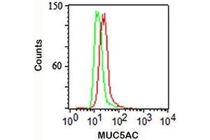 Intracellular flow cytometry staining of A549 cells using MUC5AC antibody (red) and isotype control (green). (MUC5AC 抗体)