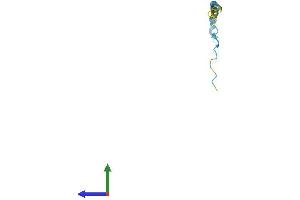 Protein Structure (PS) image for Small Proline-Rich Protein 2D (SPRR2D) (AA 1-72) protein (Fc Tag) (ABIN7546388)
