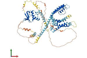 Protein Structure (PS) image for Potassium Voltage-Gated Channel, Shal-Related Subfamily, Member 1 (Kcnd1) (AA 1-651) protein (His tag) (ABIN7556877)