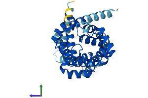 Protein Structure (PS) image for Solute Carrier Family 25 (Mitochondrial Carrier, Adenine Nucleotide Translocator), Member 5 (SLC25A5) (AA 1-298) protein (His tag) (ABIN7551955)