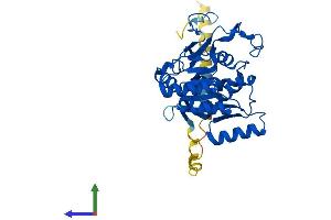 Protein Structure (PS) image for UDP-Gal:betaGal beta 1,3-Galactosyltransferase Polypeptide 6 (B3GALT6) (AA 1-329) protein (His tag) (ABIN7552506)