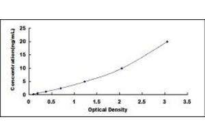 Typical standard curve (CCRN4L ELISA 试剂盒)