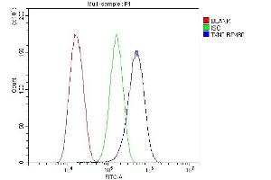 Flow Cytometry analysis of U87 cells using anti-TXN2 antibody (ABIN7602150).