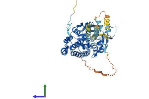 AlphaFold protein structure predicition of Mouse Recombinant Ppp3cc Protein, UniprotID P48455