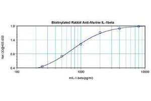 Image no. 1 for anti-Interleukin 1, beta (IL1B) antibody (Biotin) (ABIN465876) (IL-1 beta 抗体  (Biotin))