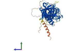 Protein Structure (PS) image for Syntrophin, gamma 1 (SNTG1) (AA 1-517) protein (His tag) (ABIN7560269)