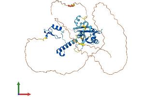 Protein Structure (PS) image for Zinc Finger, HIT-Type Containing 6 (ZNHIT6) (AA 1-460) protein (His tag) (ABIN7557175)