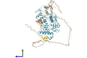 Protein Structure (PS) image for Zinc Finger Protein 264 (ZNF264) (AA 1-627) protein (His tag) (ABIN7545454)