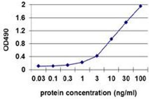 Sandwich ELISA detection sensitivity ranging from 0. (RRM2 (人) Matched Antibody Pair)