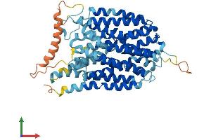 Protein Structure (PS) image for Solute Carrier Family 43, Member 3 (SLC43A3) (AA 1-491) protein (His tag) (ABIN7545950)
