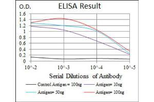 Red: Control Antigen (100ng) ; Purple: Antigen (10ng) ; Green: Antigen (50ng) ; Blue: Antigen (100ng). (MAP2 抗体  (AA 24-123))