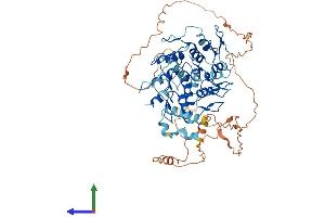Protein Structure (PS) image for Zinc Finger Protein 343 (ZNF343) (AA 1-599) protein (His tag) (ABIN7545265)