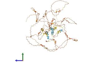Protein Structure (PS) image for Trophinin Associated Protein (TROAP) (AA 1-778) protein (His tag) (ABIN7544727)
