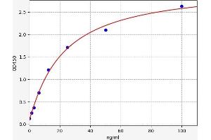 AFT1 ELISA 试剂盒