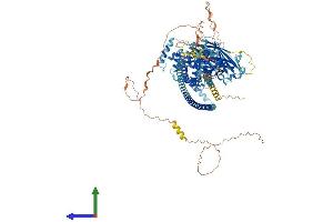 Protein Structure (PS) image for RAB GTPase Activating Protein 1 (RABGAP1) (AA 1-1069) protein (His tag) (ABIN7555119)