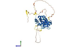 Protein Structure (PS) image for Dual Specificity Phosphatase 7 (DUSP7) (AA 1-419) protein (His tag) (ABIN7547181)
