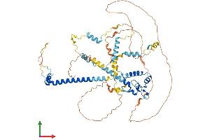 Protein Structure (PS) image for Spire Homolog 1 (Drosophila) (SPIRE1) (AA 1-598) protein (His tag) (ABIN7563791)