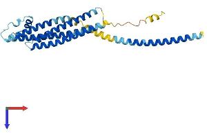 STX1A Protein (AA 1-288) (His tag)