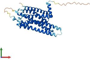 AlphaFold protein structure predicition of Mouse Recombinant Adora2b Protein, UniprotID Q60614