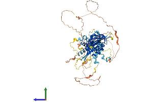 Protein Structure (PS) image for Hypoxia Inducible Factor 3, alpha Subunit (HIF3A) (AA 1-662) protein (His tag) (ABIN7563622)