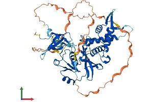 Protein Structure (PS) image for K(lysine) Acetyltransferase 5 (KAT5) (AA 1-513) protein (His tag) (ABIN7554219)