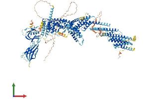 Protein Structure (PS) image for Ca++-Dependent Secretion Activator (CADPS) (AA 1-1353) protein (His tag) (ABIN7552838)