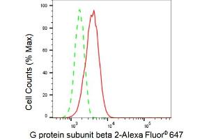 Flow cytometric analysis of G protein subunit beta 2 expression in HT- cells using G protein subunit beta 2 antibody (ABIN7798822), 1:2,000).